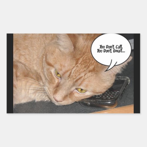 Orange Tabby Cat HumorCell Phone Rectangular Sticker