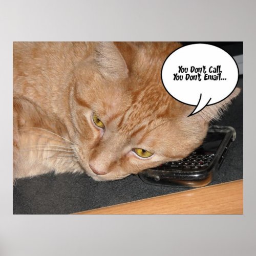 Orange Tabby Cat Humor Poster