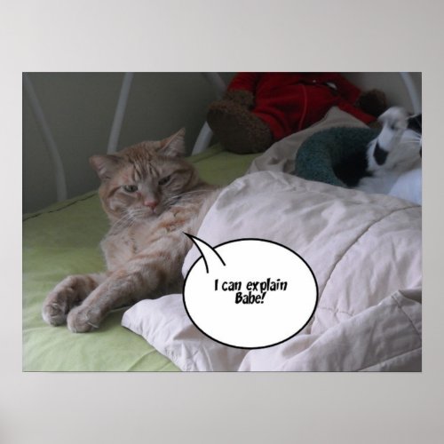 Orange Tabby Cat Humor Poster