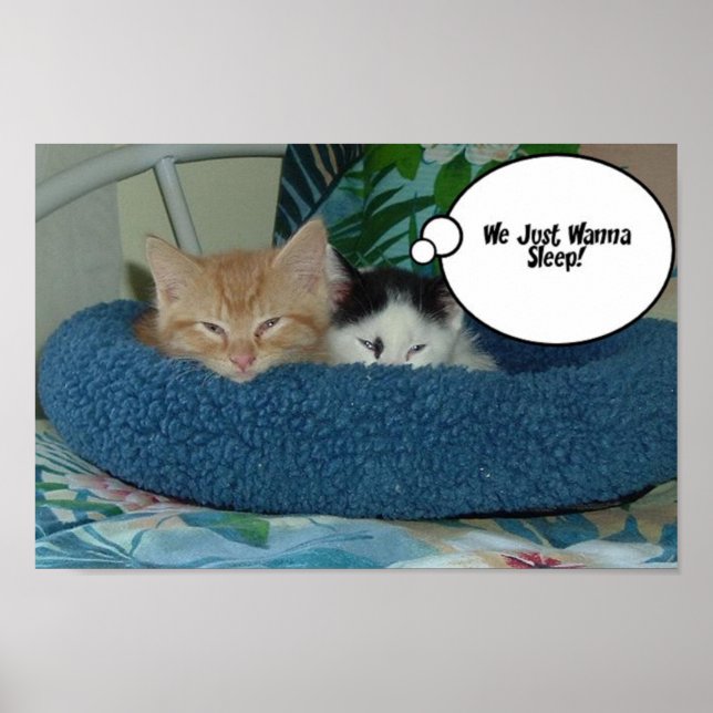 Orange Tabby Cat Humor Poster (Front)
