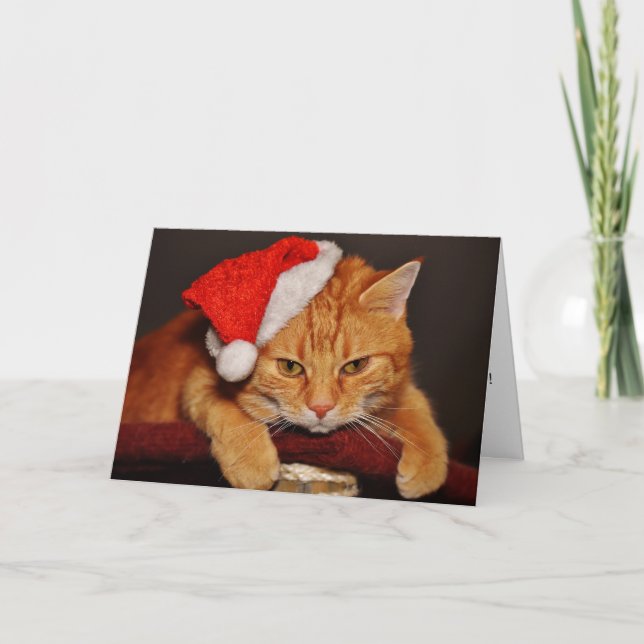 Orange Tabby Cat in a Santa Hat Holiday Card (Front)