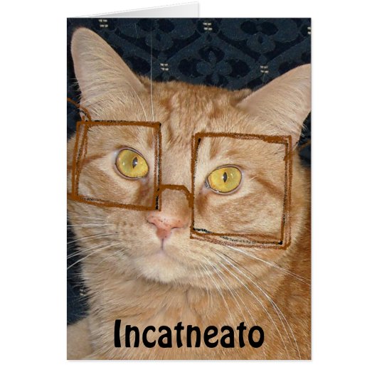 Orange Tabby Cat/Incognito Cards (Front)