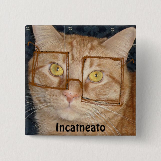 Orange Tabby Cat/Incognito Humor Button (Front)