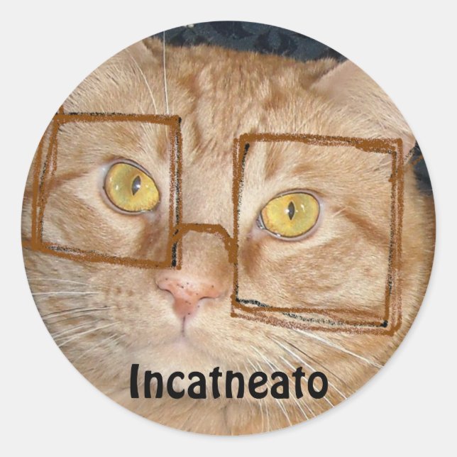 Orange Tabby Cat/Incognito Humor Classic Round Sticker (Front)