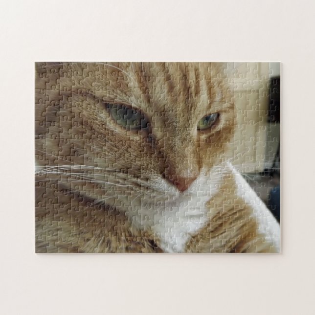 Orange Tabby Cat Jigsaw Puzzle (Horizontal)