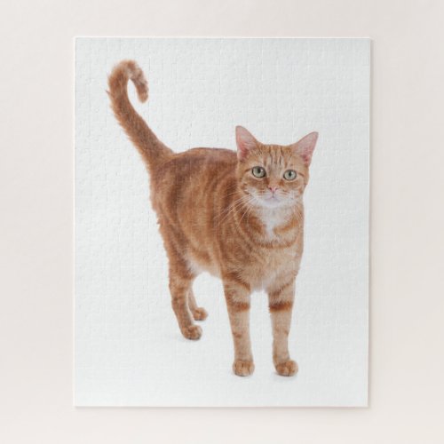 Orange Tabby Cat Jigsaw Puzzle