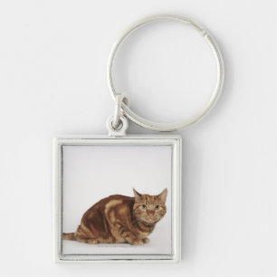 Orange Tabby cat Keychain