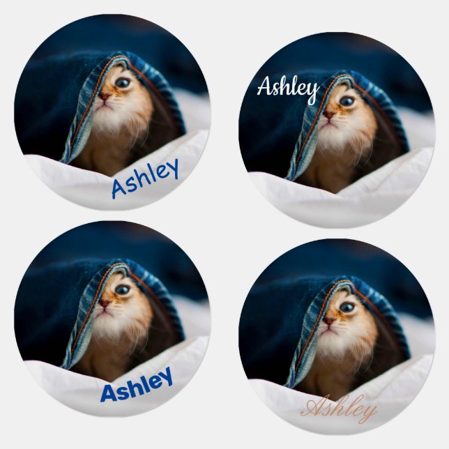 Orange Tabby Cat Labels (Group)