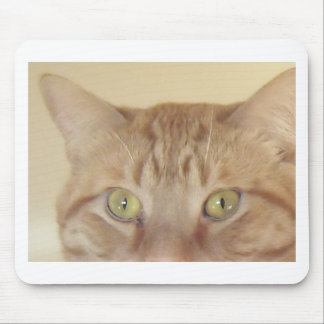 Orange Tabby Cat Mouse Pad