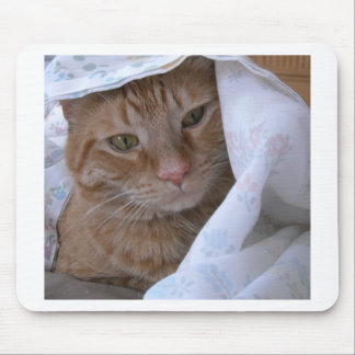 Orange Tabby Cat Mouse Pad