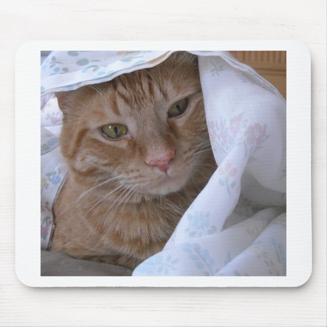 Orange Tabby Cat Mouse Pad (Front)