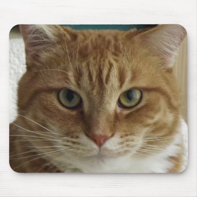 Orange Tabby Cat Mousepad (Front)