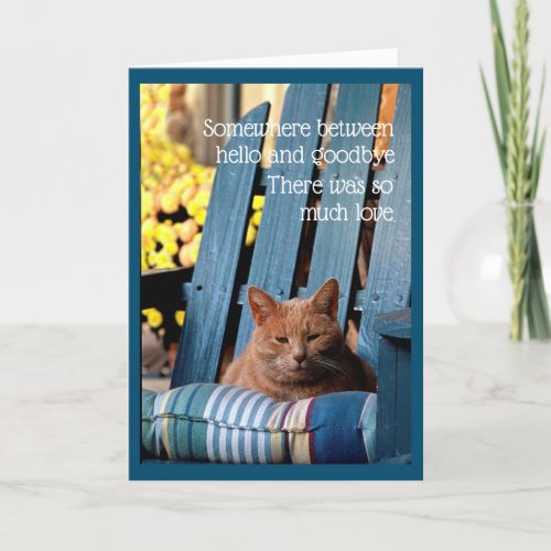 Orange Tabby Cat on Blue Chair  Card