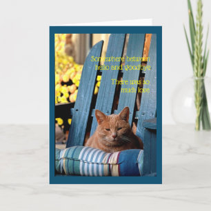 Orange Tabby Cat on Blue Chair Card