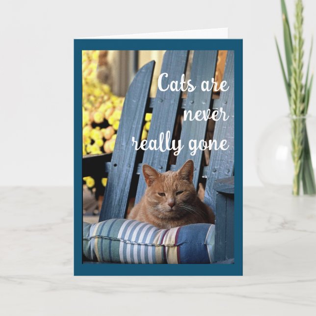 Orange Tabby Cat on Blue Chair Sympathy  Announcement (Front)