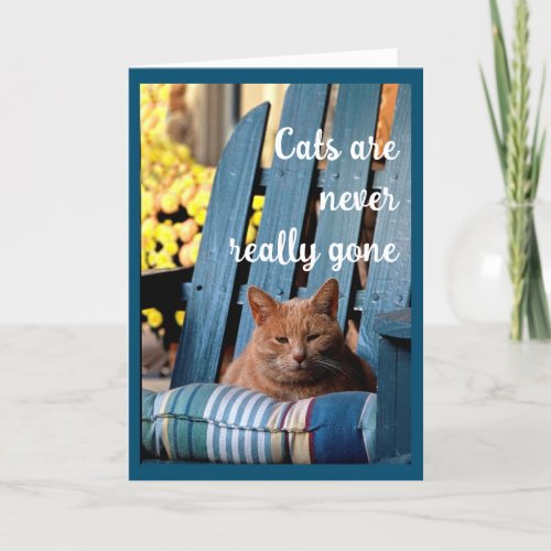 Orange Tabby Cat on Blue Chair Sympathy Announcement