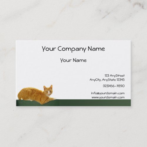 Orange Tabby Cat on Green Fence Business Cards