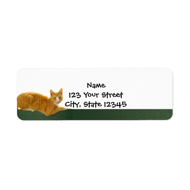Orange Tabby Cat on Green Fence Label (Front)