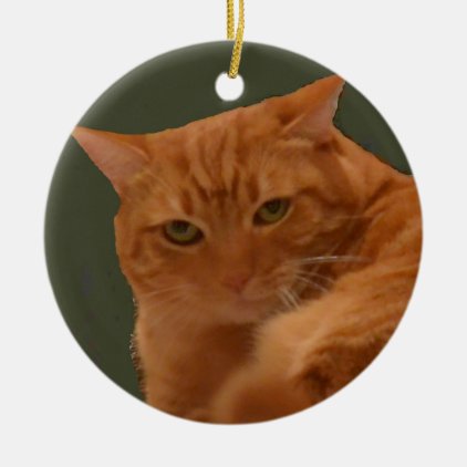 Orange Tabby Cat ornament