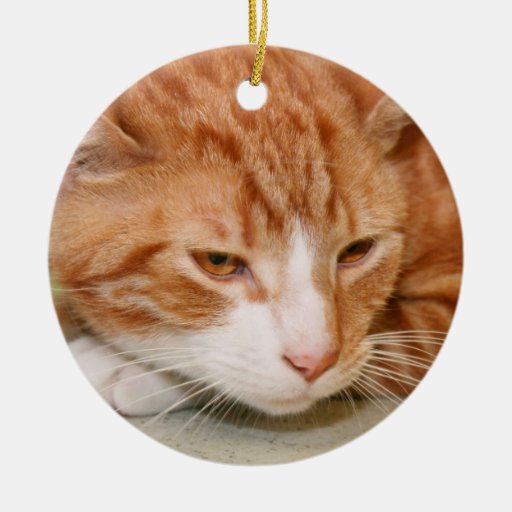 ORANGE TABBY CAT ORNAMENT | Zazzle