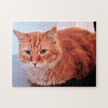 Orange Tabby Cat Photo Family Pet Jigsaw Puzzle by Susang6 at Zazzle