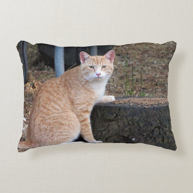 Orange Tabby Cat Pillow (Front)