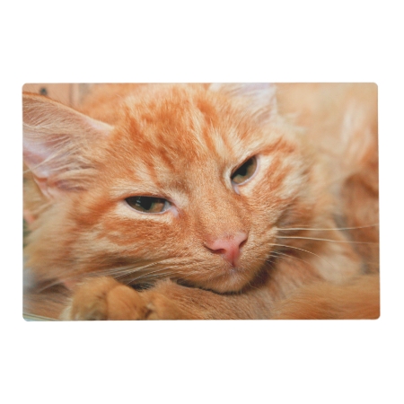 Orange Tabby Cat Placemat