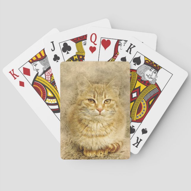 Orange Tabby Cat Poker Cards (Back)