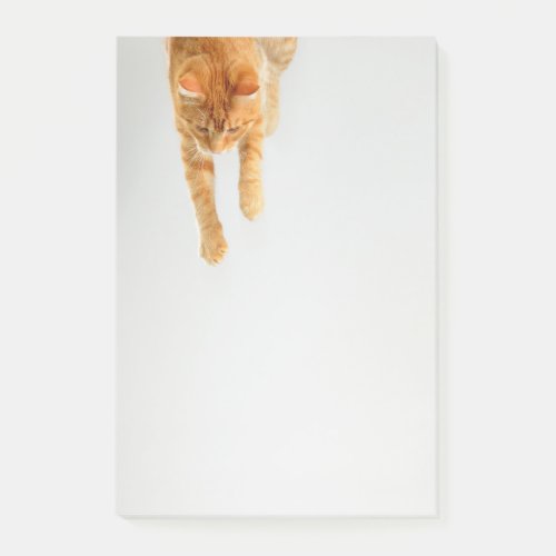 Orange Tabby Cat Post_it Notes 4 x 6
