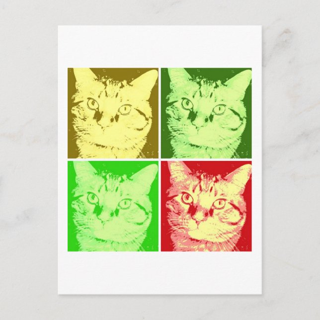 Orange Tabby Cat Postcard (Front)