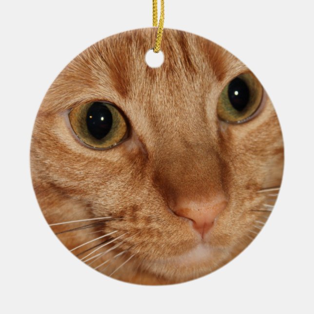 Orange Tabby Cat Profile Face Close up Ceramic Ornament (Front)