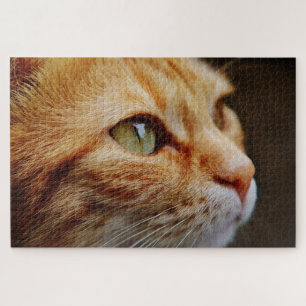 orange tabby cat puzzle