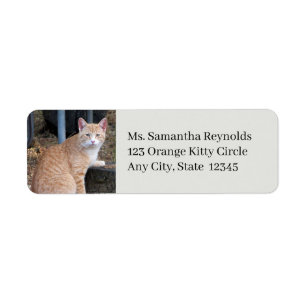 Orange Tabby Cat Return Address Labels