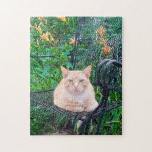 Orange Tabby Cat Sitting in Chair Photo Jigsaw Puzzle