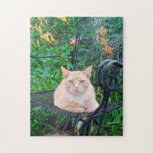 Orange Tabby Cat Sitting in Chair Photo  Jigsaw Puzzle