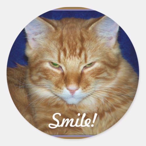 Orange Tabby Cat Smile Sticker