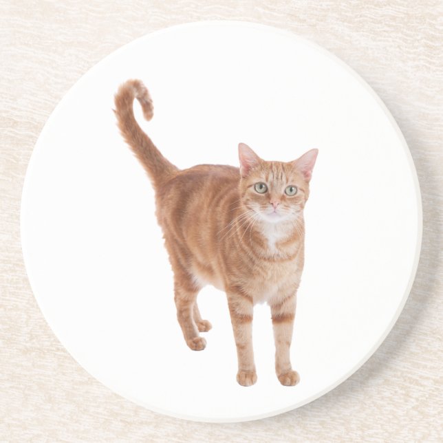 Orange Tabby Cat Standing Coaster (Front)