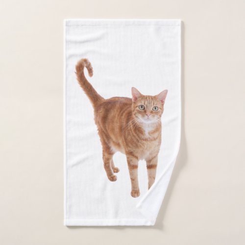 Orange Tabby Cat Standing Hand Towel