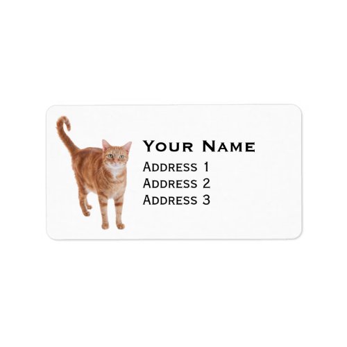 Orange Tabby Cat Standing Label