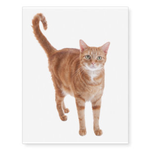 Orange Tabby Cat Standing Temporary Tattoos