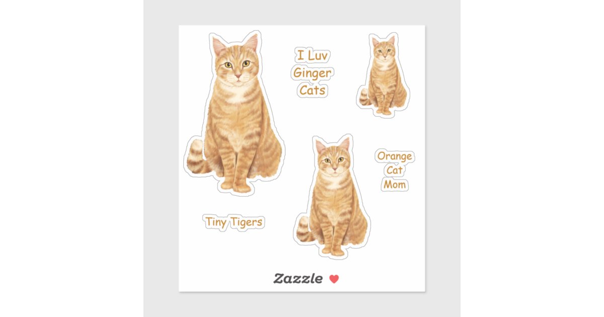 Long Haired Brown Tabby Cat Sticker Decal Brown Cat Water 