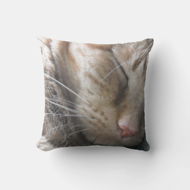 Orange Tabby Cat Throw Pillow (Front)
