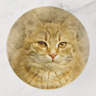 Orange Tabby Cat Trinket Tray