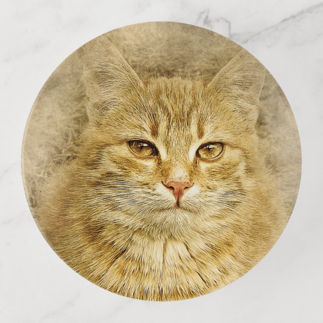 Orange Tabby Cat Trinket Tray (Front)