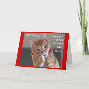 Orange Tabby Cat Wearing Jingle Bells Holiday Card
