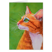 Orange Tabby Cat Whiskers (Front)