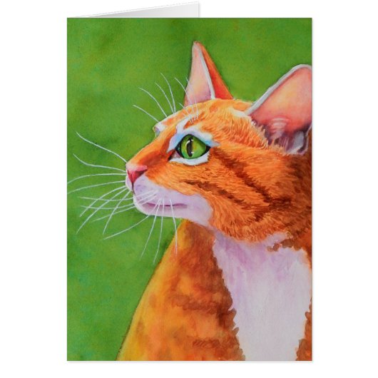 Orange Tabby Cat Whiskers Cards (Front)