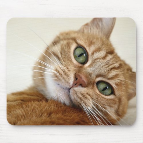 Orange Tabby Cat with Green Eyes Mouse Pad