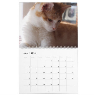 ORANGE TABBY CATS CALENDAR