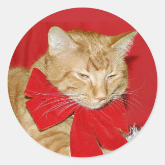 Orange tabby Christmas bow sticker